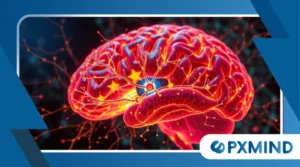 Neuroplasticity Explained: How to Rewire Your Brain for Success