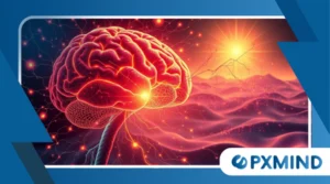 The Neuroscience of Emotions: How Feelings Are Created