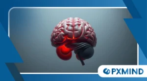 What Happens in Your Brain When You’re Afraid?