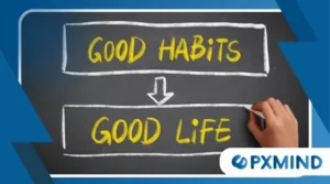 How Habits Reshape the Brain Over Time