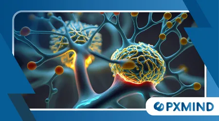 neuroplasticity