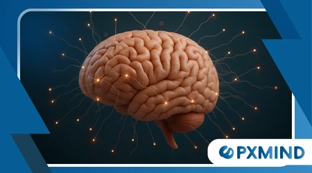  brain on stress