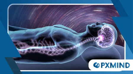 sleep is essential for brain health