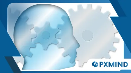 How the Brain Processes Emotions