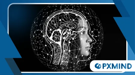 How the Brain Processes Emotions