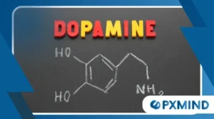 The Role of Dopamine in Motivation and Reward