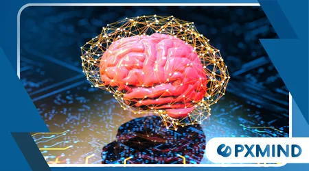 Neuroscience Behind Focus