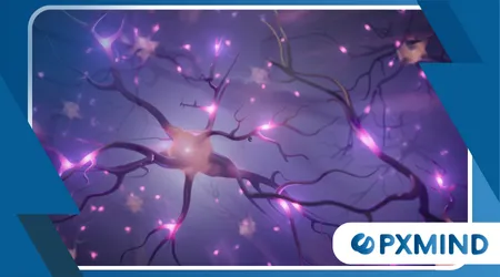 Neuroscience Behind Focus