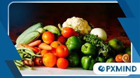 link between gut health and brain function