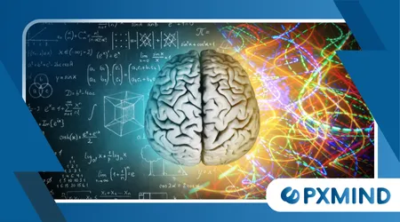 How the Brain Reacts to Unexpected Rewards