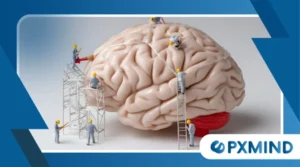 The Teenage Brain: Why It’s Wired for Risk