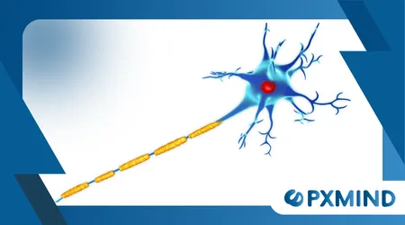 Role of Myelin in Learning and Speed