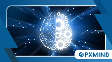 Why the Brain Loves Stories