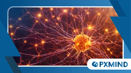 Neurological Basis of Impulse Control