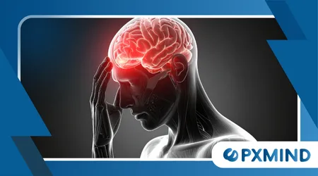 Neurological Basis of Impulse Control