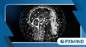 How the Brain Predicts What Happens Next