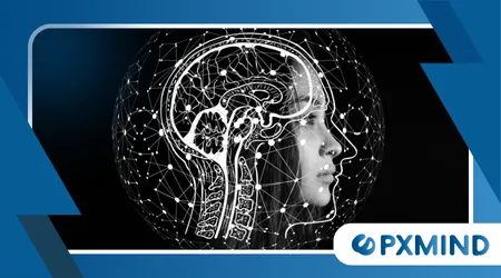 the Brain Predicts What Happens Next