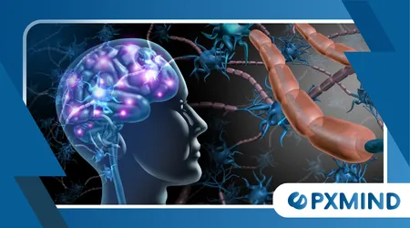 Why the Brain Craves Novelty