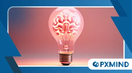 Why the Brain Craves Novelty