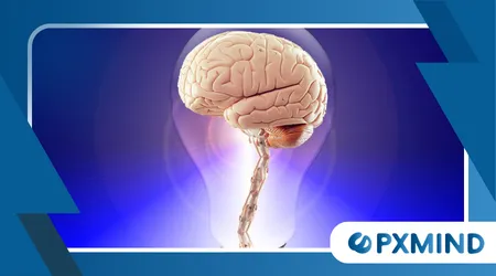 Brain Prioritizes Information Without You Noticing