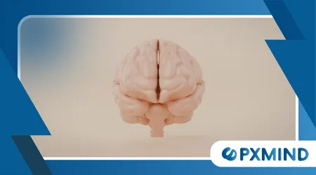 Predictive Brain Models Are Changing Neuroscience