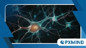 Why Predictive Brain Models Are Changing Neuroscience