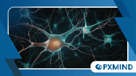 Why Predictive Brain Models Are Changing Neuroscience