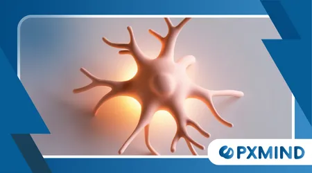 Astrocytes and Glial Cells