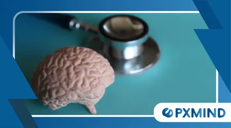 Brain Age Gap Models Reveal Hidden Brain Health