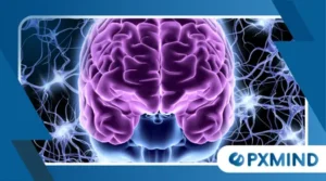 What is Neurowellness? The 2026 Guide to Precision Nervous System Optimization