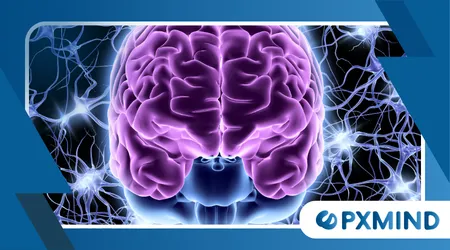 What is Neurowellness? The 2026 Guide to Precision Nervous System Optimization