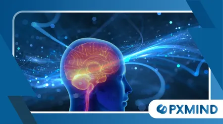 Why Predictive Processing Brain Theory Is Gaining Attention