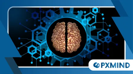 Memory Engrams and Long-Term Storage