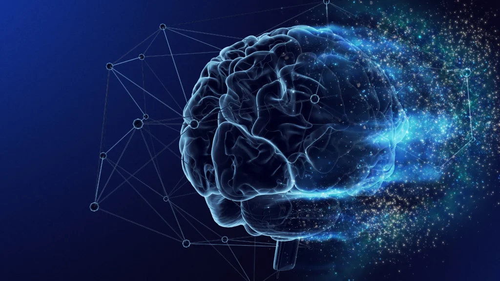 Neural Oscillations
