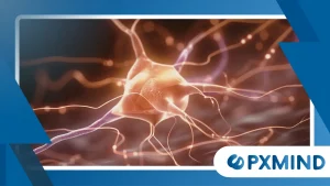 Why Neural Oscillations Matter for Memory and Attention