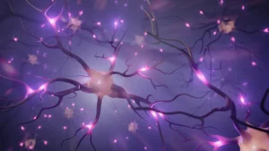 The Science Behind Neural Reuse Theory Explained Simply
