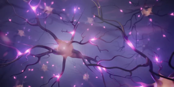 The Science Behind Neural Reuse Theory Explained Simply
