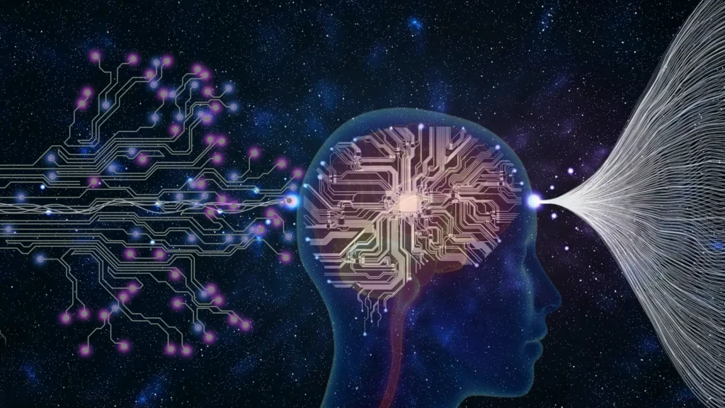 brain’s default mode network