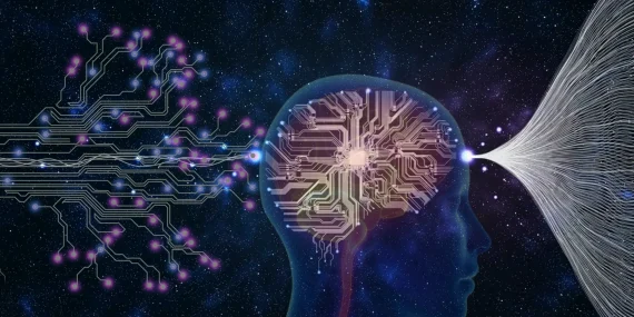 The Brain’s Default Mode Network: Daydreaming in Action