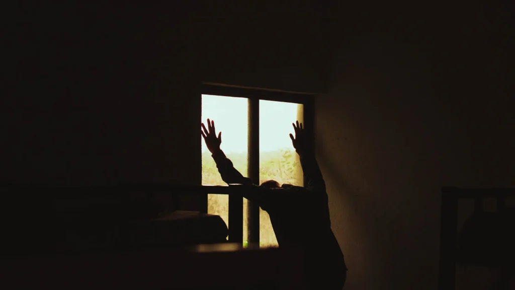 Emotional Inertia