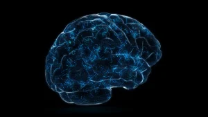 How Temporal Binding Helps the Brain Build Experiences