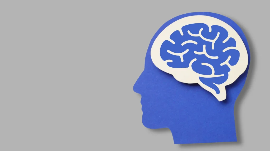 Cortical Magnification