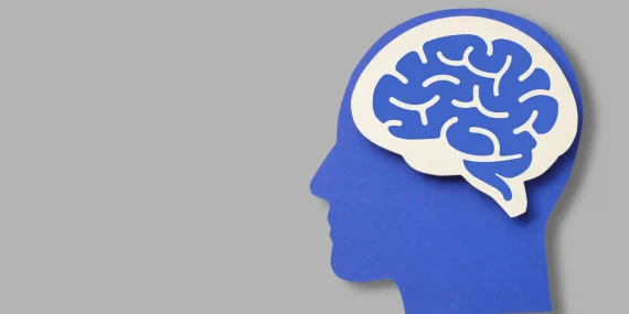 Why Cortical Magnification Shapes Human Perception