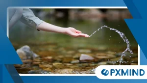 Why Nature Connectedness May Support Better Mental Well-Being Today