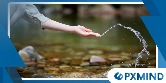 Why Nature Connectedness May Support Better Mental Well-Being Today