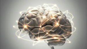 How the Claustrum Helps the Brain Prepare for Uncertainty Today