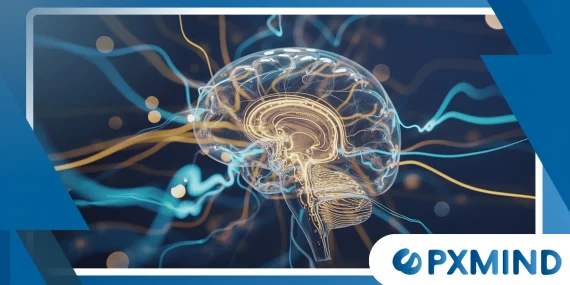 Why Cerebellar Rhythms Matter Beyond Movement Control