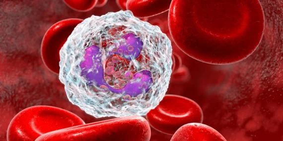 Why TIMP2 May Protect Brain Immune Cells From Age-Related Decline